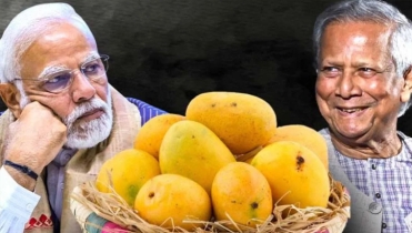 মোদিকে আম পাঠাচ্ছেন প্রধান উপদেষ্টা